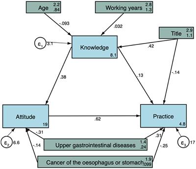 Knowledge, attitude, and practice of healthcare workers on early gastrointestinal cancer in China